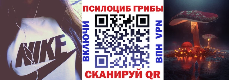 нарко площадка телеграм  Жердевка  Галлюциногенные грибы Cubensis 