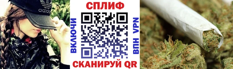 магазин наркотиков Жердевка Шишки марихуана Bruce Banner